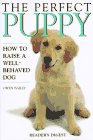Combining expert training techniques with helpful advice and information, a comprehensive guide to puppy and dog care explains how to control a young pet without hurting its spirit, with tips on setting routines, preventing bad habits, grooming, health care, and the training process. 
